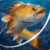 3c4780335d427db83ae54b4620d7e990 Icon.png