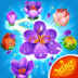 C95a41121b60370373d22bd6e6159e4b Icon.png